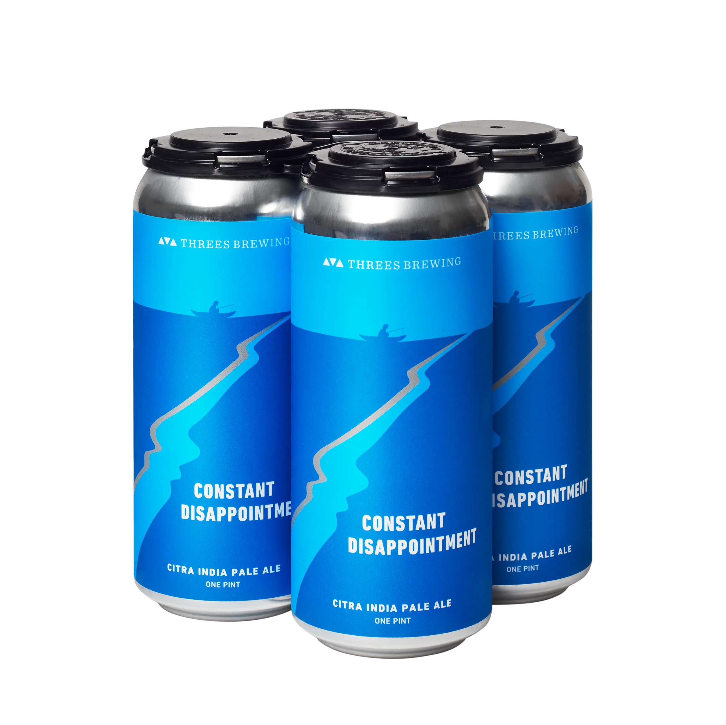 Constant Disappointment (Citra IPA) - Image 3