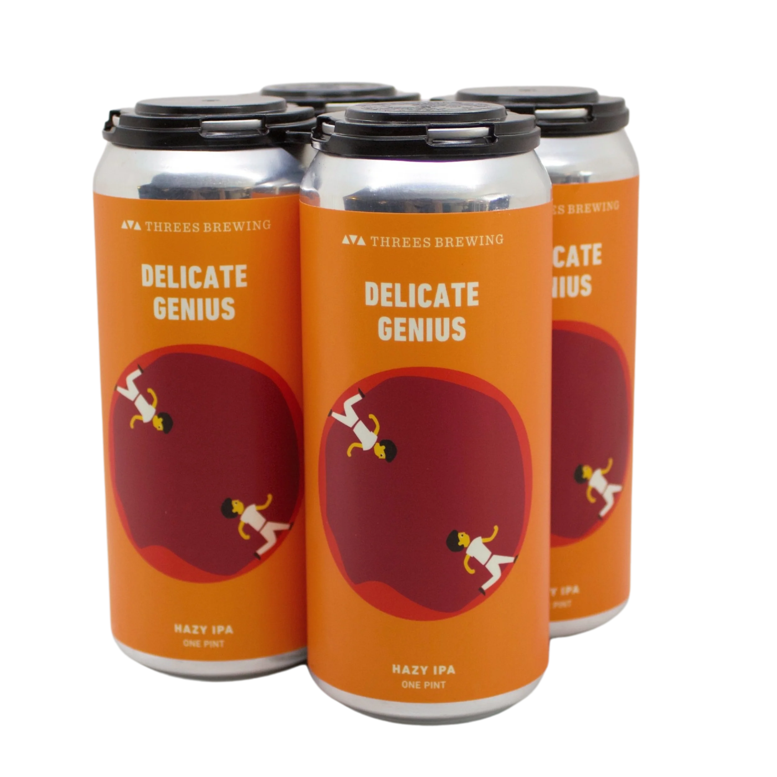Delicate Genius (Hazy IPA) - Image 4