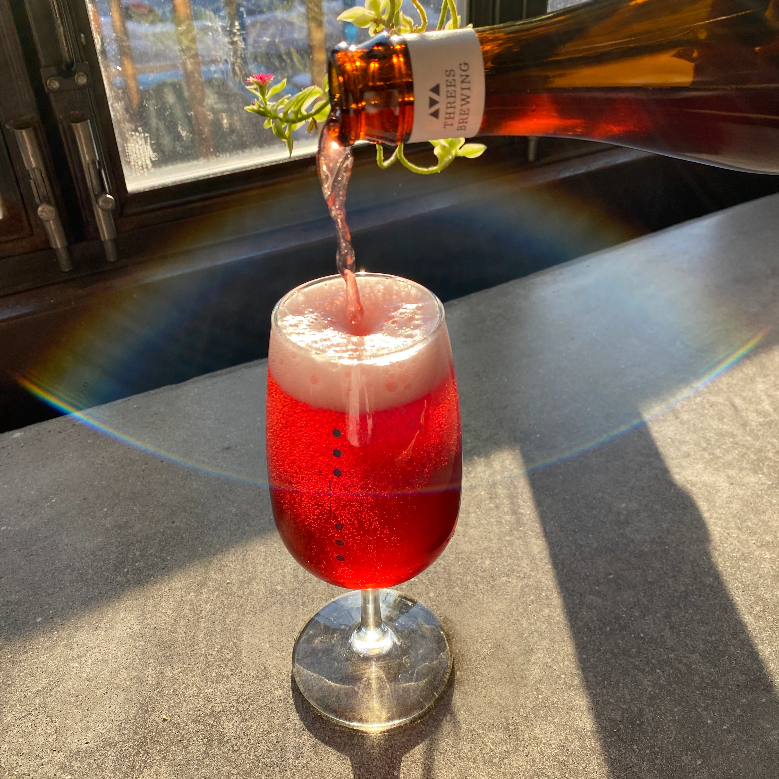 Eternal Return Raspberry (American Wild Ale Aged In Oak With Raspberries) 500ml - Image 3