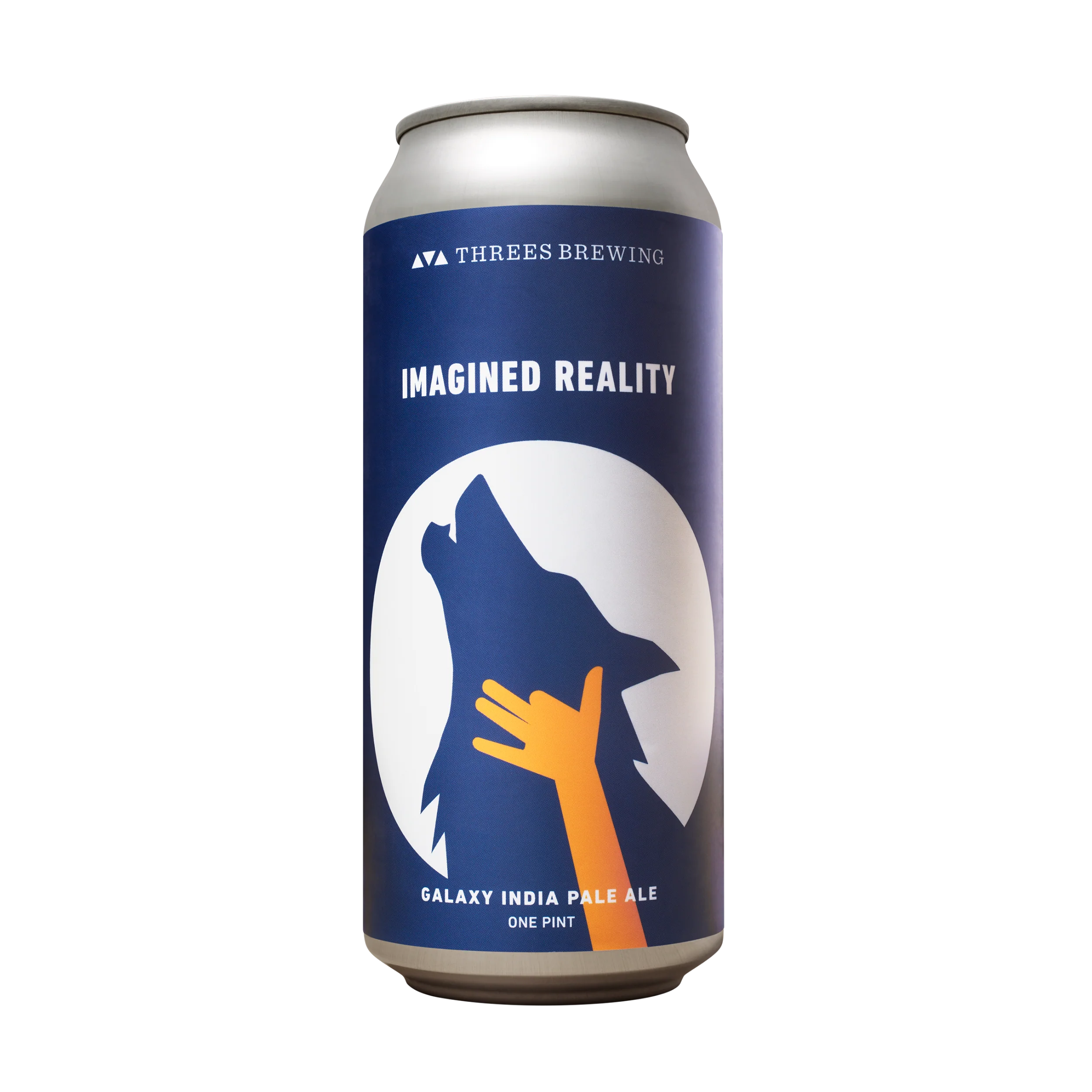 Imagined Reality (Galaxy IPA) - Image 2