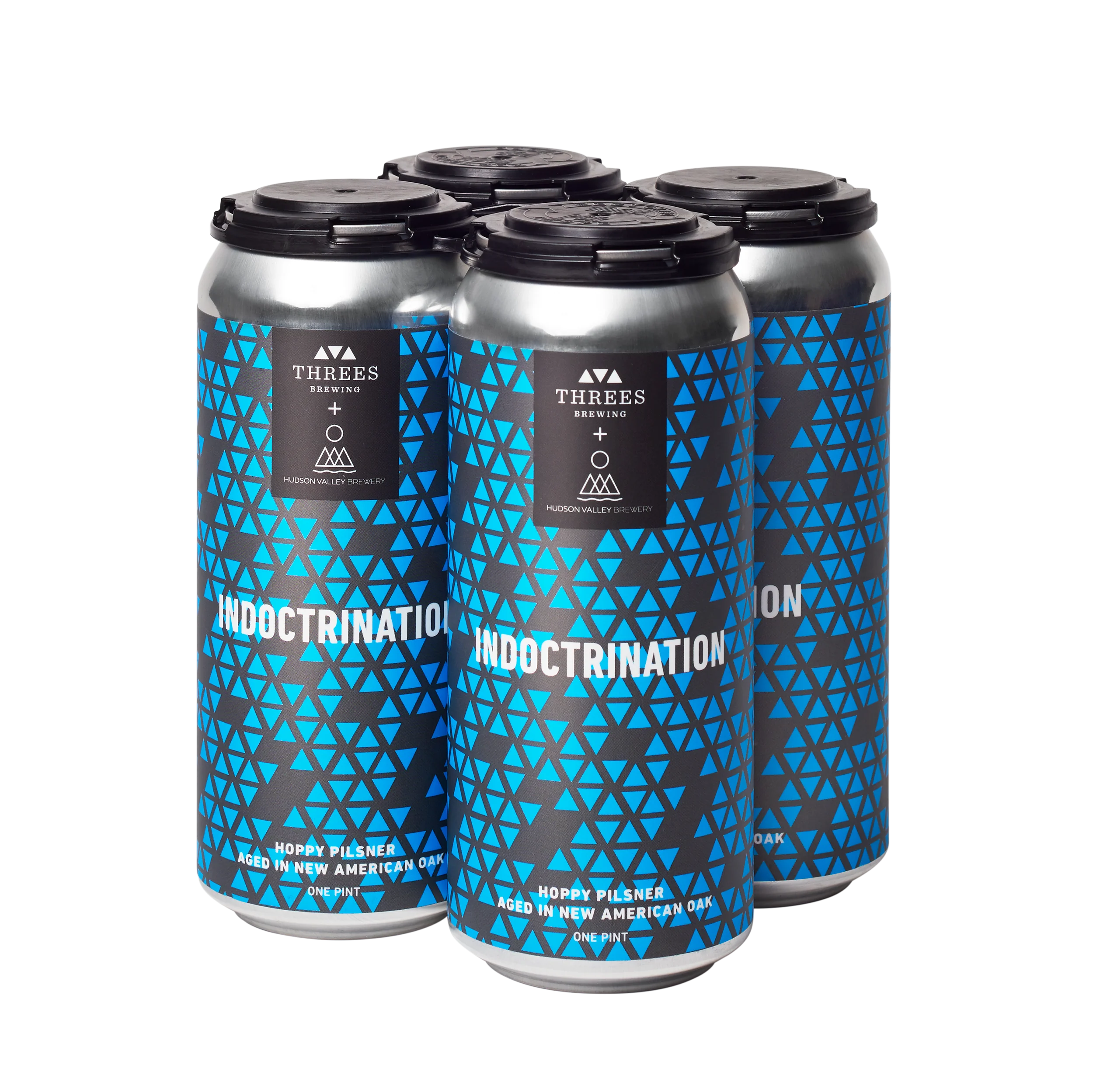 Indoctrination (Hoppy Pilsner) 4-Pack - Hudson Valley Collab - Image 4