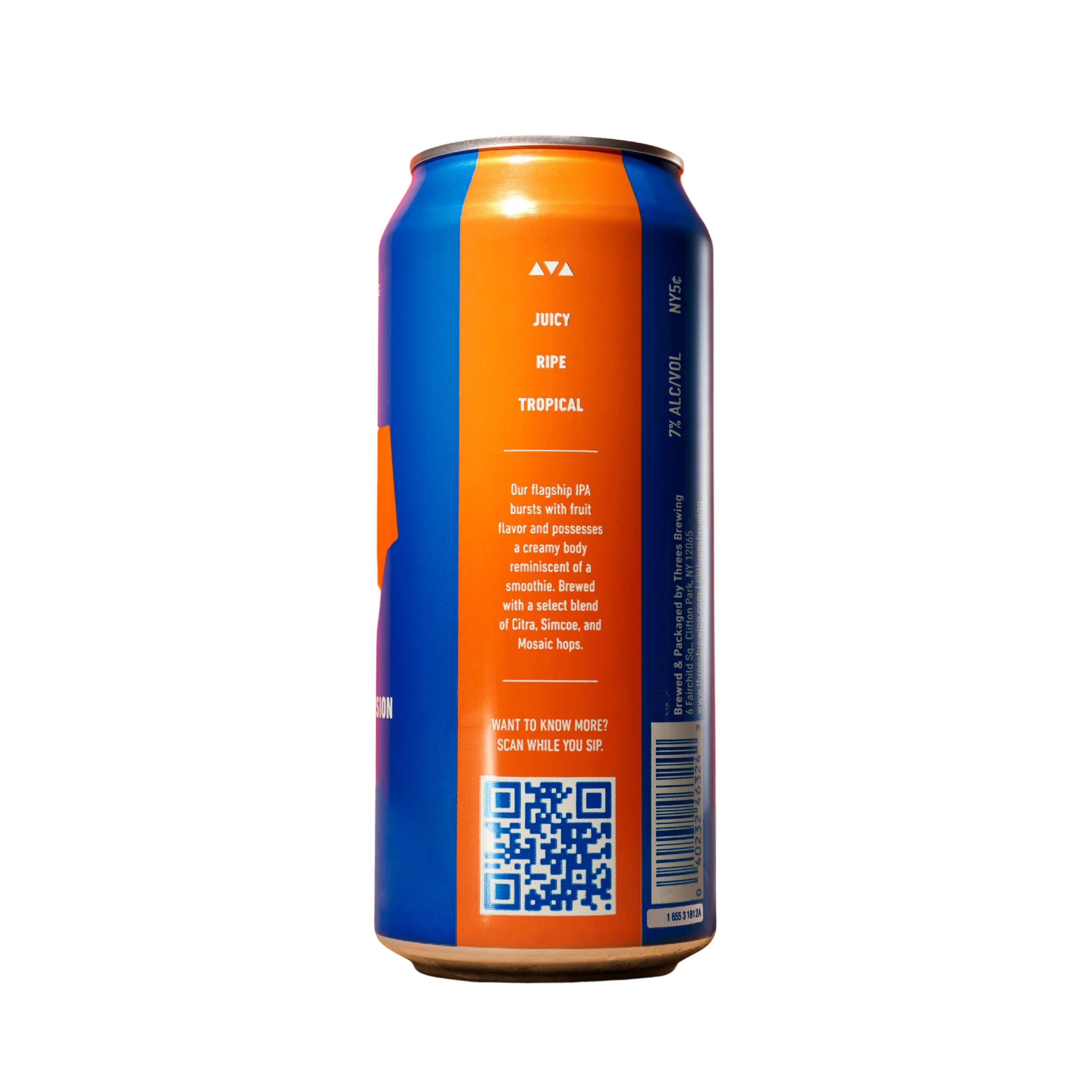 Logical Conclusion (Hazy IPA) - Image 3