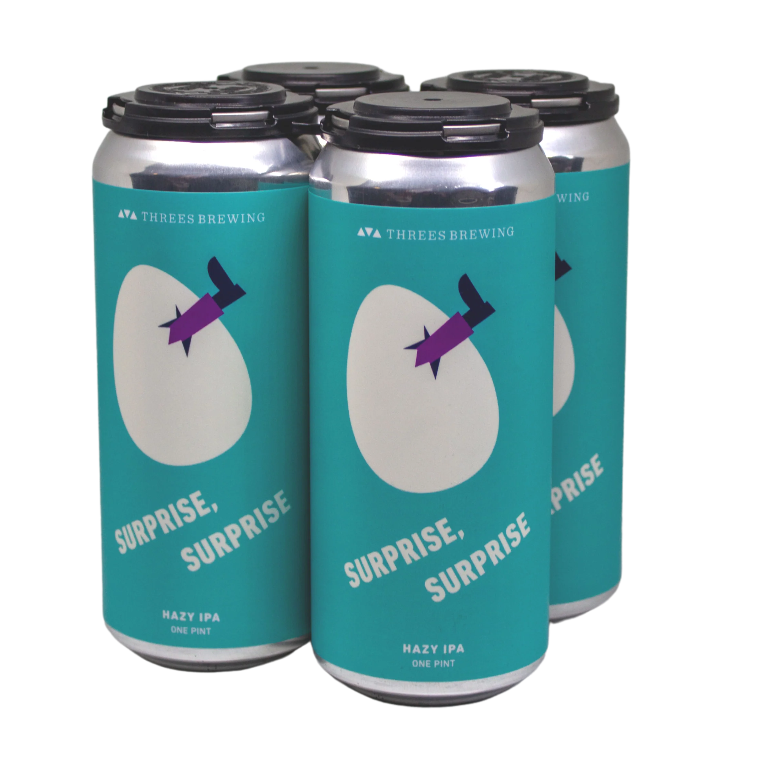 Surprise, Surprise (Hazy IPA) - Image 4