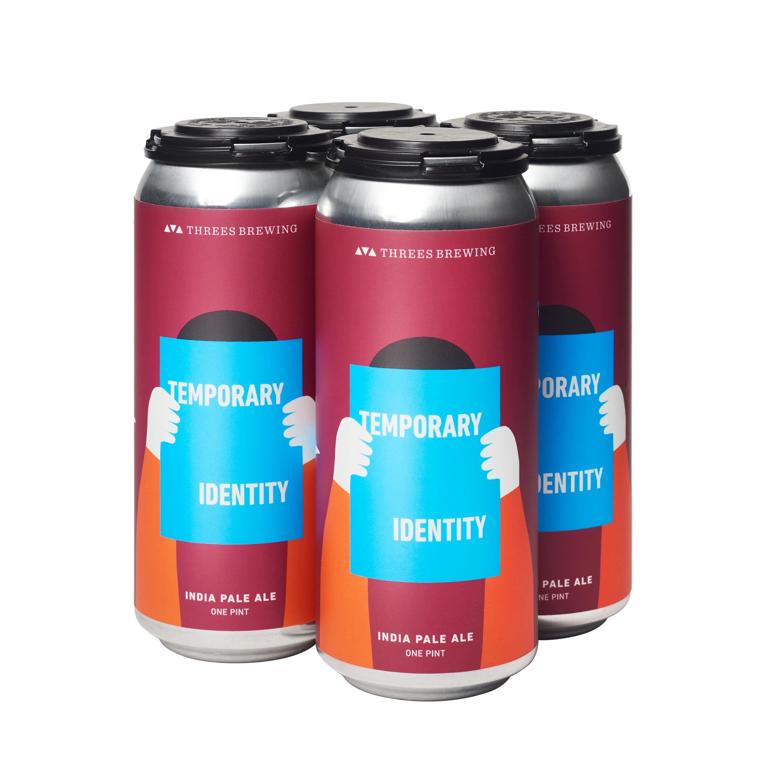 Temporary Identity (Mosaic IPA) - Image 3