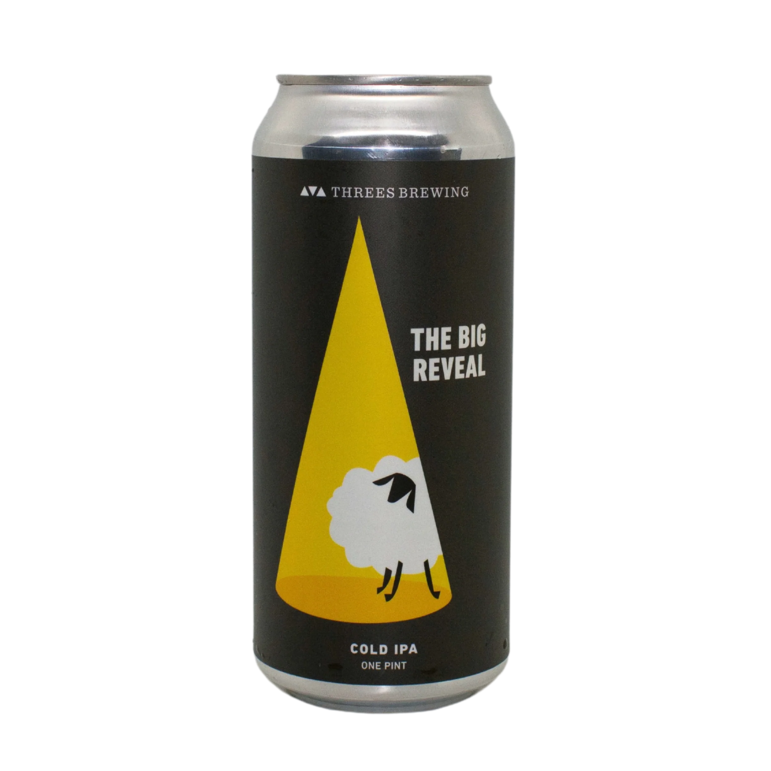 The Big Reveal (Cold IPA) - Image 2