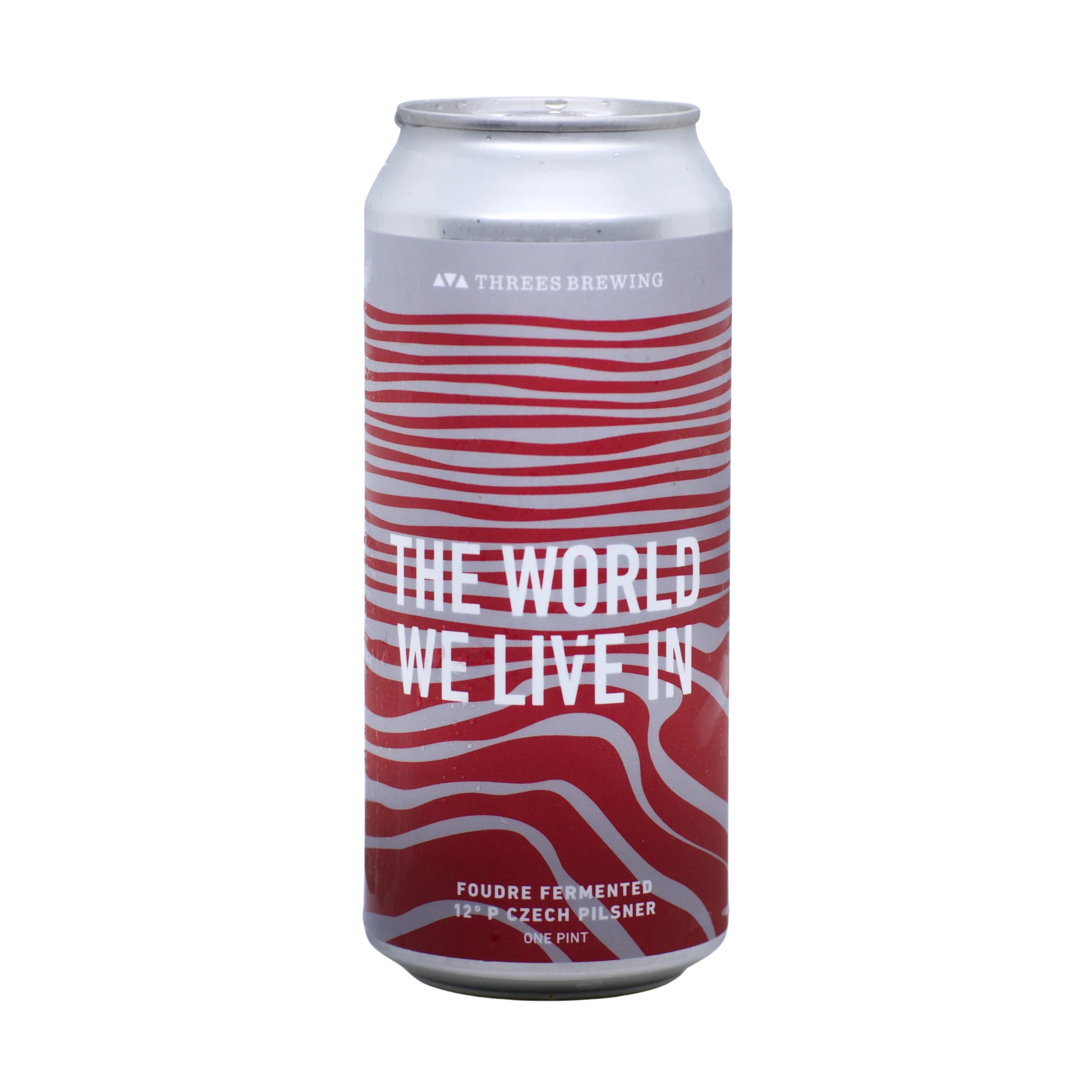 The World We Live In (Foeder Fermented 12º Czech Pilsner) - Image 2