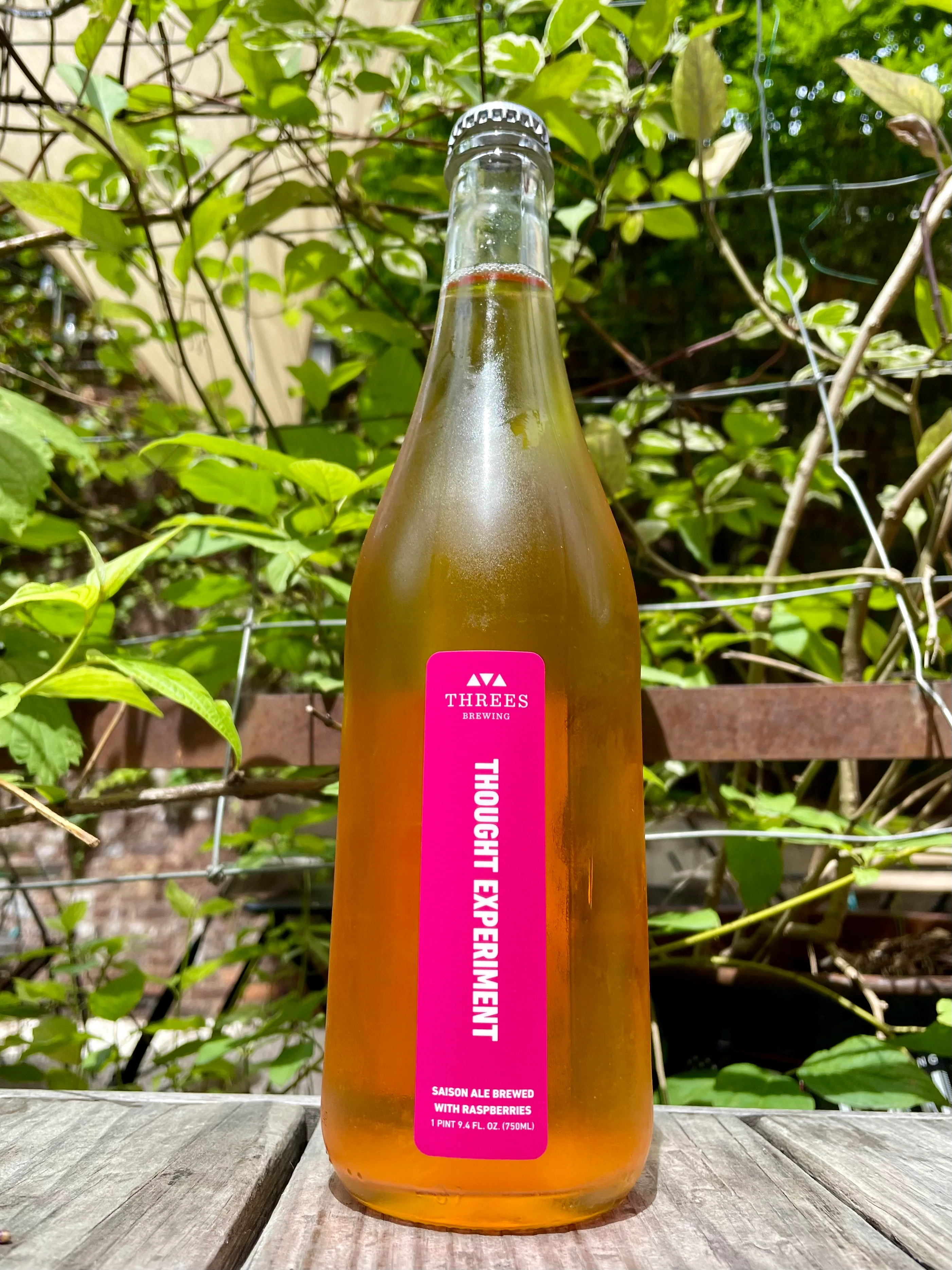 Thought Experiment Raspberry (Saison Ale) 750ml - Image 3